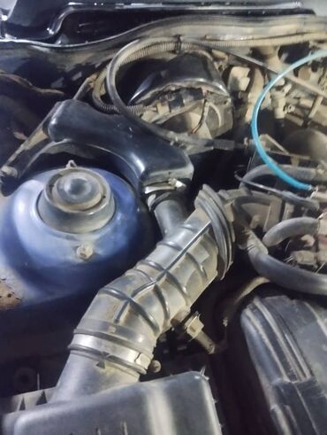 Другие автозапчасти: Внутренние компоненты автомобиля, включая двигатель и элементы