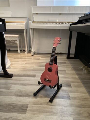 bass gitara: Ukulele, Yeni