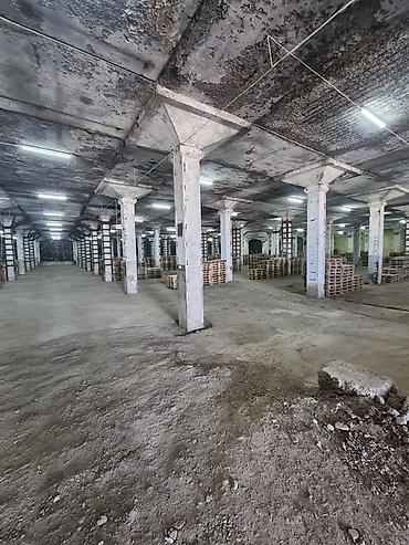продаю кара балта: 🏢 СКЛАДСКИЕ ПОМЕЩЕНИЯ В АРЕНДУ ‼️ Сдаются в аренду большие складские — 4