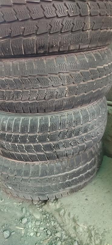 Шины: Шины 195 / 65 / R 15, Всесезонная, Б/у, Легковые, Германия — 14