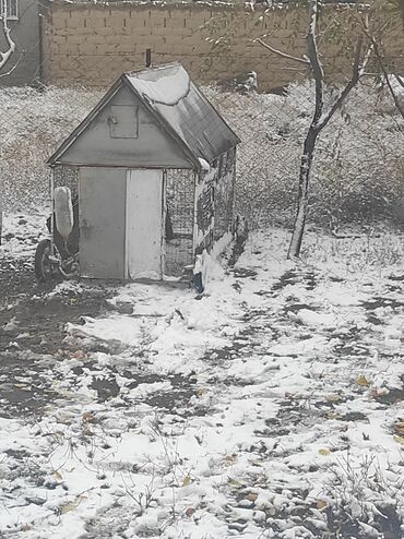 собака охота: Эки этаж дакан клетка сатылат условия жакшы устуно конот утепление