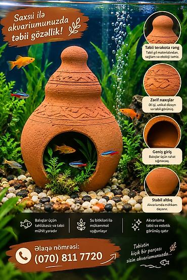 Akvarium dekoru: Akvaryum üçün saxsı dekor və sığınacaq - Təbii terakota rəngi: təbii — 1