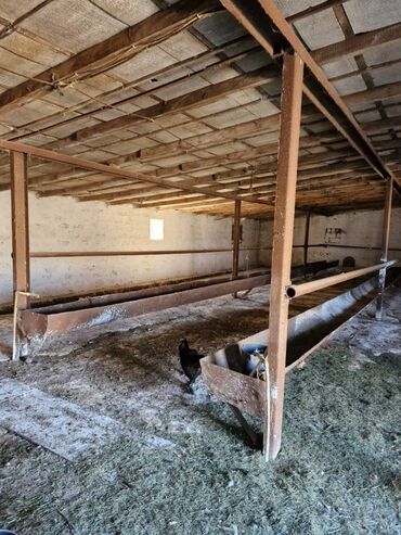 Uzunmüddətli kirayə mənzillər: Nizami Rayonu, Xalqlar dostluğu, Körpü ticarət mərkəzinin yanında — 5