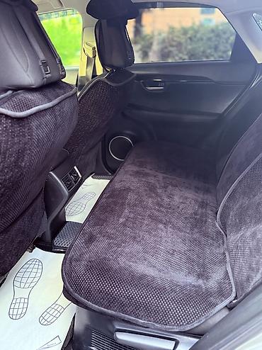 Lexus: Lexus NX: 2016 г., Кроссовер — 10