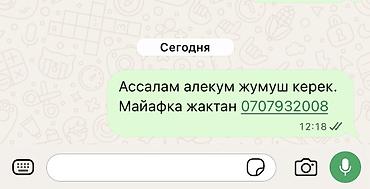 Такси, логистика, жеткирүү: Майафка 2 бала быз — 1