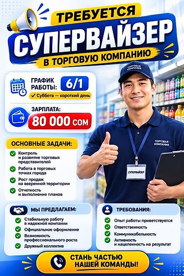В торговую компанию требуется Супервайзер. Условия: - График работы