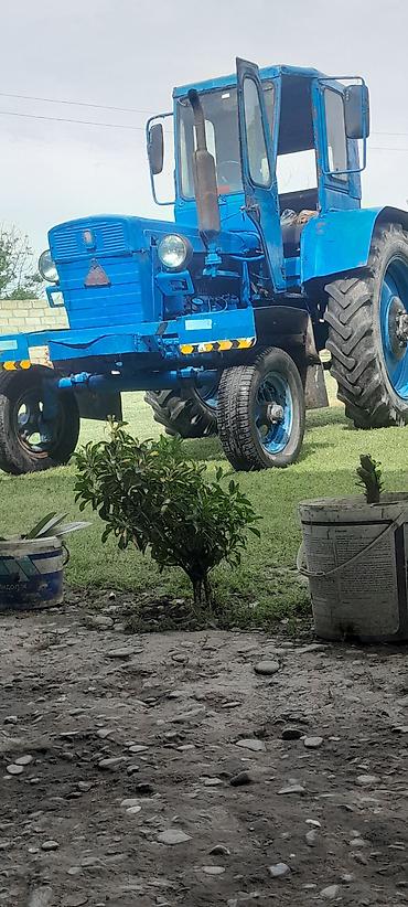 Traktorlar: Traktor Belarus (MTZ) T28, 1995 il, 999 at gücü, motor 10 l, Yeni — 4