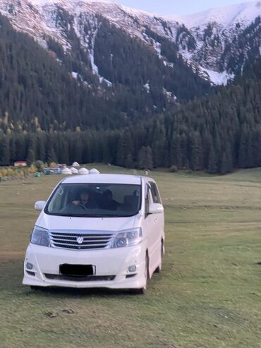 ауди машына: Toyota Alphard: 2006 г., 3 л, Автомат, Бензин, Вэн/Минивэн