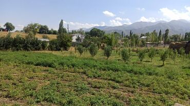 продается орошаемая земля в жайылско районе алтыр будёновка 5 40 гектар цена договорная с довой проблем нету оформление сразу: 12 соток, Айыл чарба үчүн, Кызыл китеп