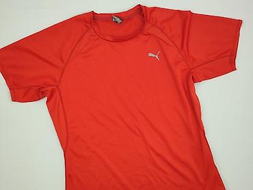 wool: Puma, Koszulka dla mężczyzn, rozmiar L — 1
