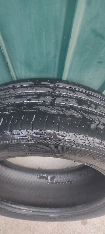 turan: Шины 205 / 55 / R 16, Лето, Б/у, Комплект, Легковые, Bridgestone — 8