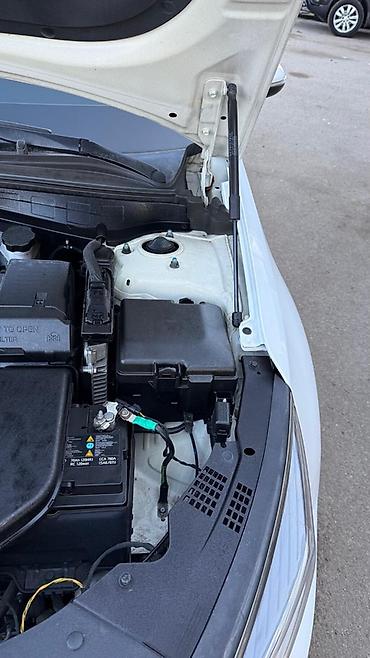 Kia: Kia Optima: 2019 г., Седан — 31