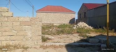 Tikinti