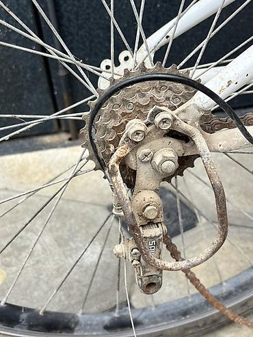 zigzag velosiped: Super prablemi var tek ce — 3