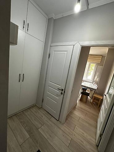 premium development: 2 комнаты, 49 м², 1 этаж, Свежий ремонт — 2