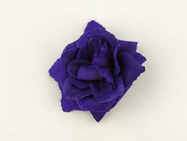 Hair clip, Female, condition - Very good