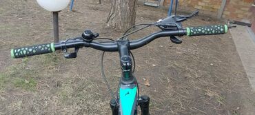 Bicikli za odrasle: Planinski bicikl Capriolo (ram sa zeleno-crnim detaljima) - Veličina — 11