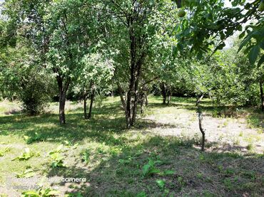 Torpaq sahələrinin satışı: 10 sot, Tikinti, Mülkiyyətçi, Kupça (Çıxarış) -da lalafo.az — 17 Torpaq sahələrinin satışı: 10 sot, Tikinti, Mülkiyyətçi, Kupça (Çıxarış) — 17