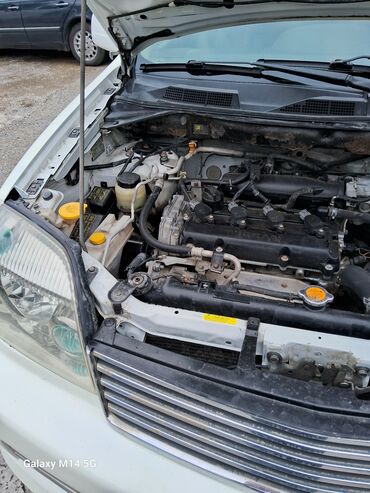 Nissan: Ağ rəngli kompakt krossover/SUV. Xüsusiyyətlər: - Kuzov: 5 qapılı — 5