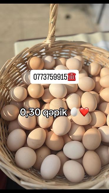 et xengeli: Kənd toyuğu Toyuq Bütöv, Pərakəndə, Ödənişli çatdırılma — 5