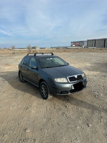 Skoda: Skoda Fabia: 2005 г., 1.2 л, Механика, Бензин, Хэтчбэк