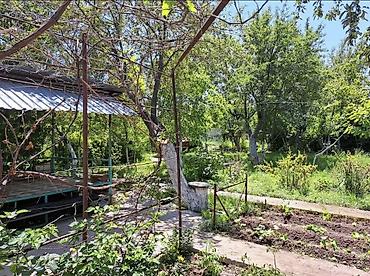 Продажа коттеджей и домов: ‼️Срочно продается Дача в Байтике 15км от города 🏠На участке есть дом at lalafo.kg — 9 Продажа коттеджей и домов: ‼️Срочно продается Дача в Байтике 15км от города 🏠На участке есть дом — 9