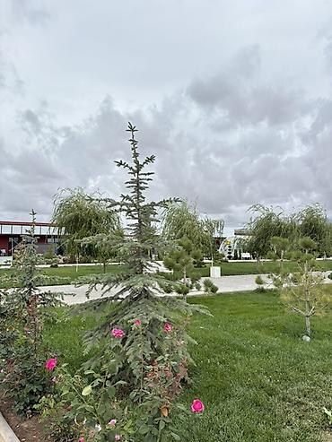 школа маариф: 🏡 Продаётся квартира в Alpha White Resort 📍 село кош коль — 1