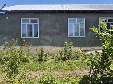 ucuz qaplar: Qəbələ rayonu Nohurqışlaq kəndi nohur gölun yanı asvalt kənarı .12 sot