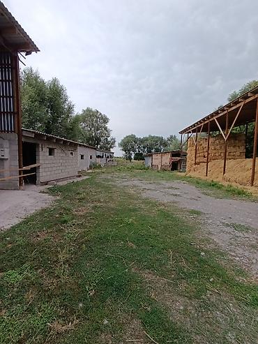 Продажа коттеджей и домов: 2 дома | 50 соток | 60 КВ.м | 65 кв.м В с. Петровка вдоль трассы — 11