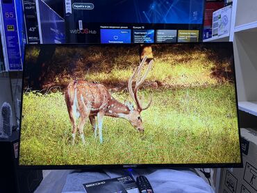Телевизоры: Телевизор BEKO AU7100 Neo 2025 Android tv с интернетом youtube, 110 см at lalafo.kg — 5 Телевизоры: Телевизор BEKO AU7100 Neo 2025 Android tv с интернетом youtube, 110 см — 5