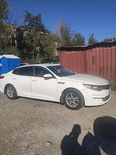 kia avto: Kia K5: 2016 г., 2 л, Автомат, Газ, Седан — 2