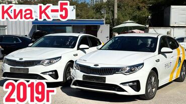 к5 цена бишкек: Kia K5: 2019 г., 2 л, Газ