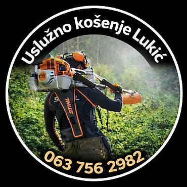 kuce na cuvanje beograd: Nudim uslužno košenje trave i održavanje dvorišta na teritoriji — 1