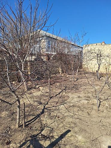 Torpaq sahələrinin satışı: Kənd təsərrüfatı — 9