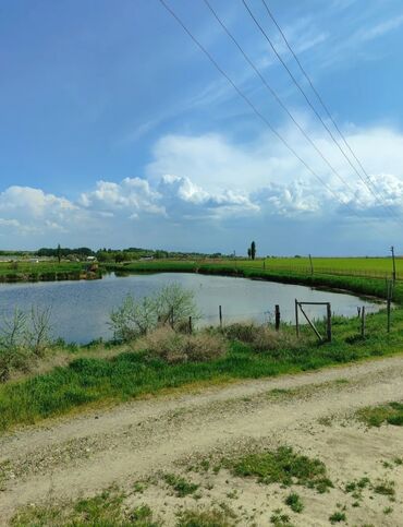 Продажа участков: 600 соток, Для бизнеса, Красная книга — 8