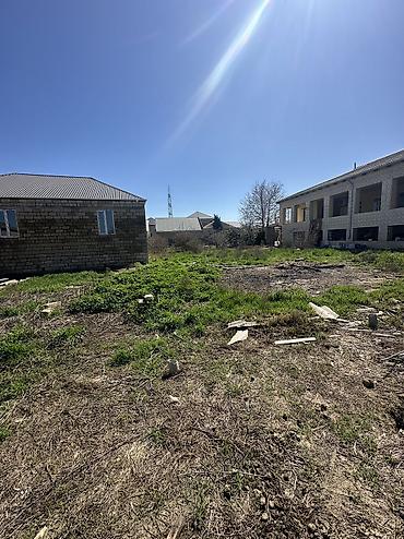 kupça: 6 sot, Tikinti, Maklerlər narahat etməsin, Kupça (Çıxarış) — 4