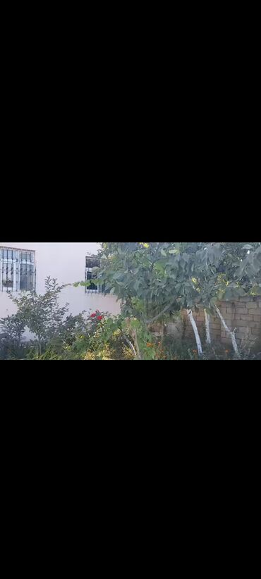 Uzunmüddətli kirayə evlər: 120 kv. m, 4 otaqlı, Kombi, Qaz, İşıq -da lalafo.az — 1 Uzunmüddətli kirayə evlər: 120 kv. m, 4 otaqlı, Kombi, Qaz, İşıq — 1