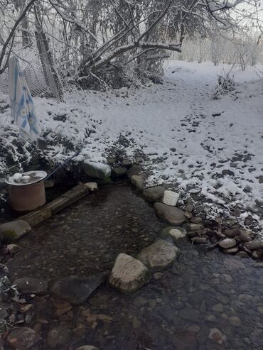 Landşaft işləri: Kupcalı 41 sot torpaq 20 sotda satilir — 10