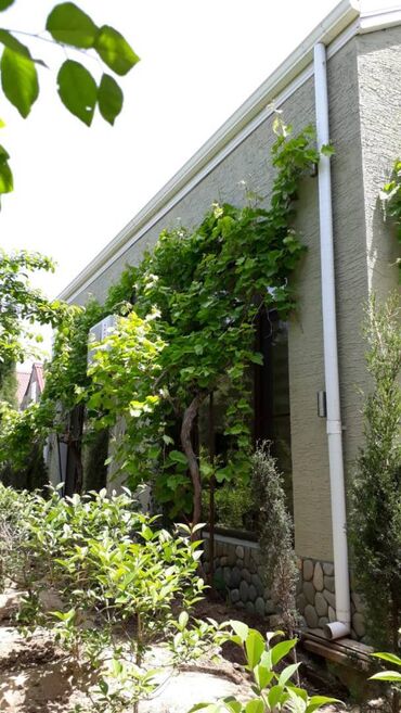 Uzunmüddətli kirayə evlər: 200 kv. m, 5 otaqlı — 26