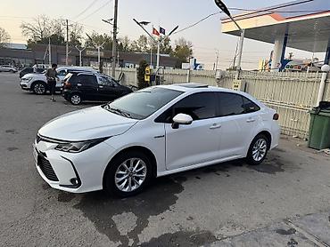 салон w124: Toyota Corolla: 2019 г., Гибрид, Седан — 5