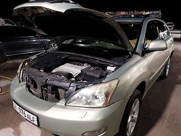 Lexus: Lexus RX: 2004 г., 3.3 л, Автомат, Бензин, Кроссовер — 12