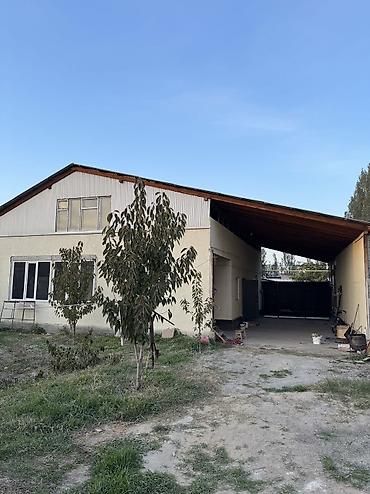 аренда аламедин 1: 85 м², 3 бөлмө, Жаныбарлары жок — 1