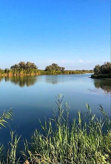 Продажа сельхоз предприятий: Ферма КРС, 17 соток, Частично с оборудованием, Электричество, Скважина, Холодная вода — 4