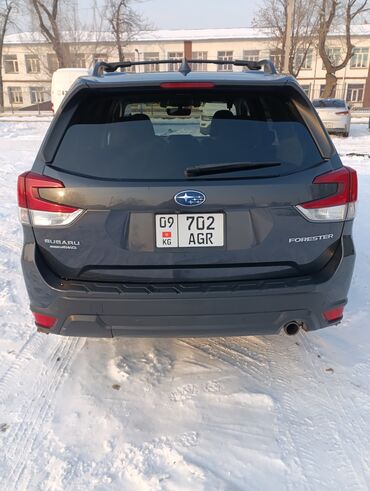 Subaru: Subaru Forester: 2019 г., 2.5 л, Автомат, Бензин, Кроссовер — 2