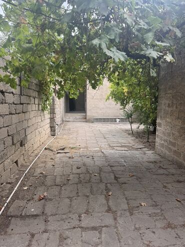 Həyət evləri və villaların satışı: Həyət evi – daş hasarlı, tam münbit həyət sahəsi - Geniş, daş — 1