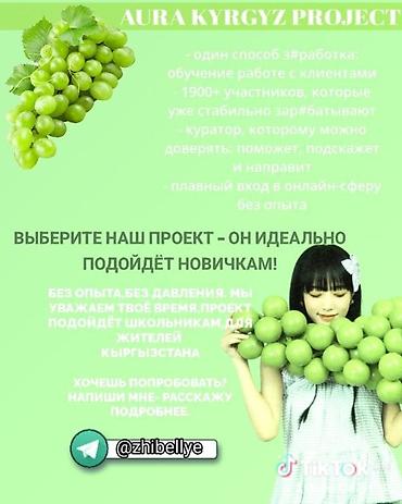 полевые работы: Онлайн-проект AURA KYRGYZ PROJECT - Обучение работе с клиентами и — 2