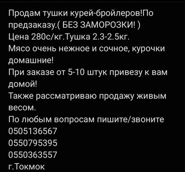 балык сатам: Продам тушки курей-бройлеров!По предзаказу.( БЕЗ ЗАМОРОЗКИ! ) Цена