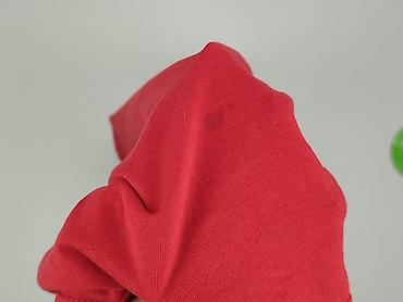 north: The North Face, Koszulka dla mężczyzn, rozmiar 2XL — 7