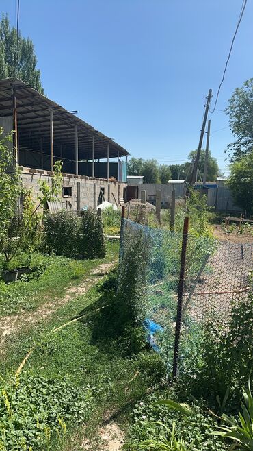 продаётся дом беловодске: Дом, 225 м², 6 комнат, Собственник, Косметический ремонт