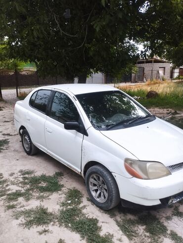 runx alex: Toyota Platz: 2000 г., 0.1 л, Автомат, Бензин, Бус
